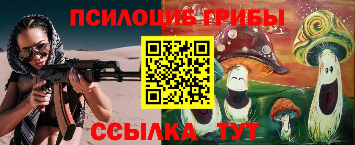 Будённовск  Псилоцибиновые грибы прущие грибы  Вход с VPN  Псилоцибиновые грибы мицелий 