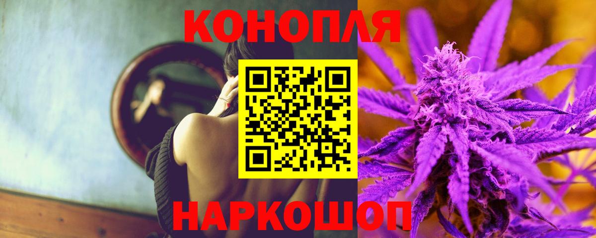 Каннабис гибрид Будённовск